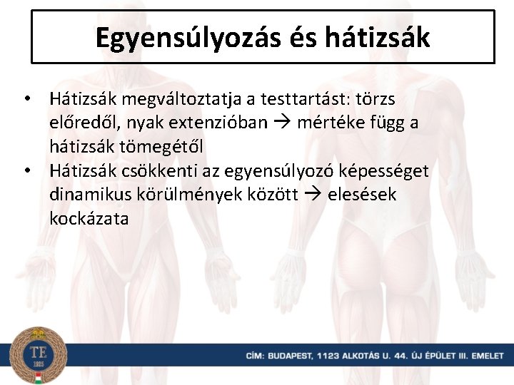 Egyensúlyozás és hátizsák • Hátizsák megváltoztatja a testtartást: törzs előredől, nyak extenzióban mértéke függ