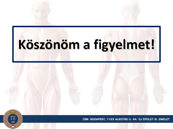 Köszönöm a figyelmet! 