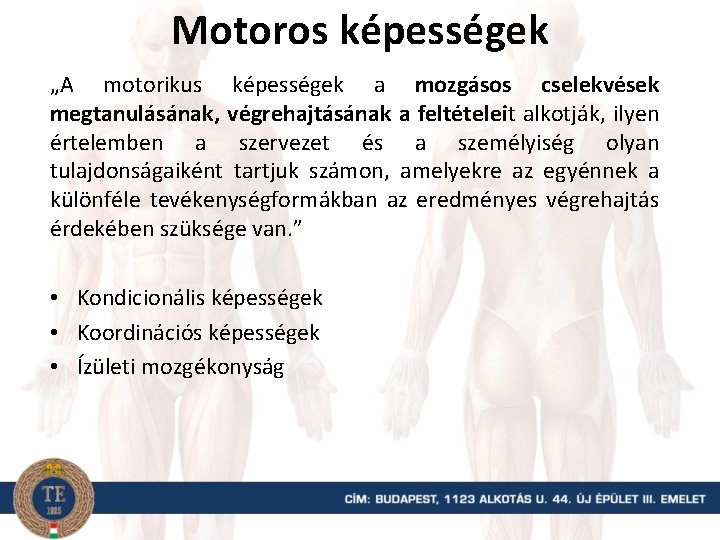 Motoros képességek „A motorikus képességek a mozgásos cselekvések megtanulásának, végrehajtásának a feltételeit alkotják, ilyen