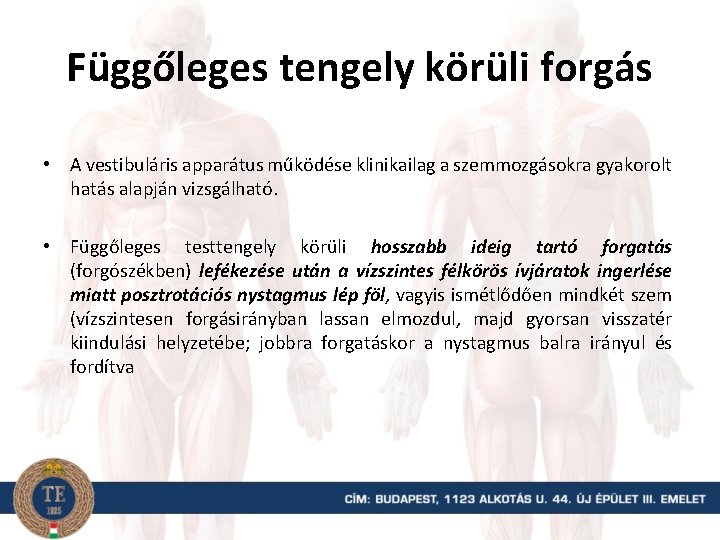 Függőleges tengely körüli forgás • A vestibuláris apparátus működése klinikailag a szemmozgásokra gyakorolt hatás