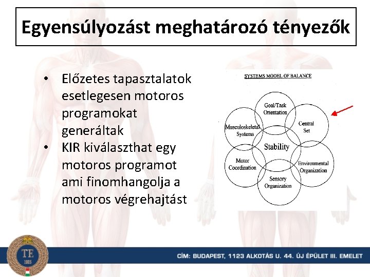 Egyensúlyozást meghatározó tényezők • Előzetes tapasztalatok esetlegesen motoros programokat generáltak • KIR kiválaszthat egy