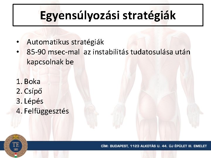 Egyensúlyozási stratégiák • Automatikus stratégiák • 85 -90 msec-mal az instabilitás tudatosulása után kapcsolnak