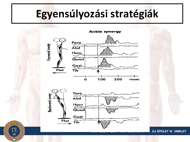 Egyensúlyozási stratégiák 