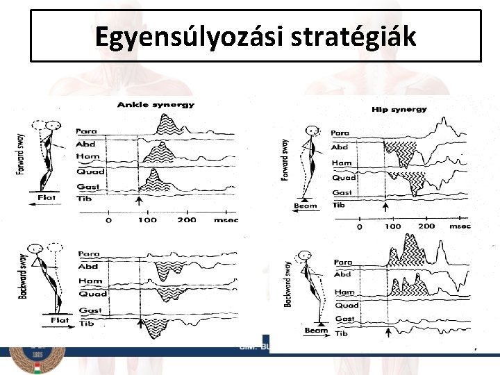 Egyensúlyozási stratégiák 