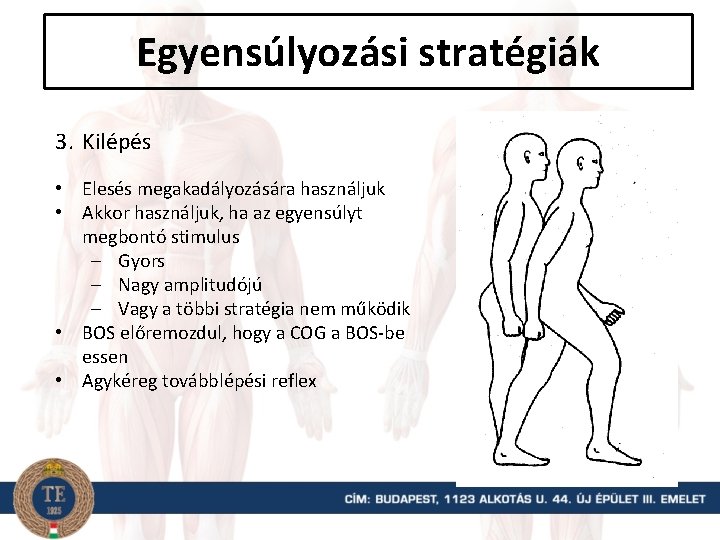 Egyensúlyozási stratégiák 3. Kilépés • Elesés megakadályozására használjuk • Akkor használjuk, ha az egyensúlyt