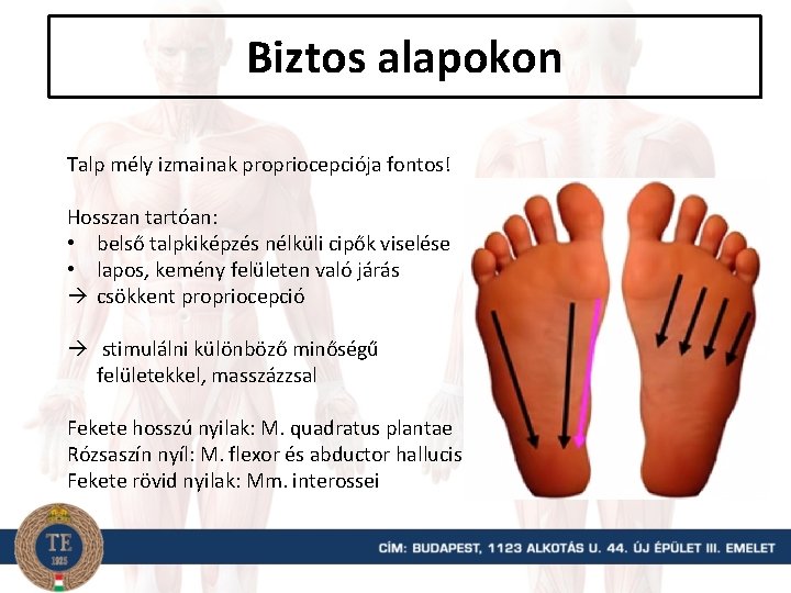 Biztos alapokon Talp mély izmainak propriocepciója fontos! Hosszan tartóan: • belső talpkiképzés nélküli cipők