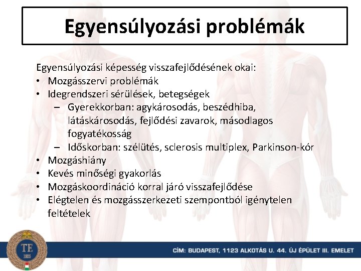 Egyensúlyozási problémák Egyensúlyozási képesség visszafejlődésének okai: • Mozgásszervi problémák • Idegrendszeri sérülések, betegségek –