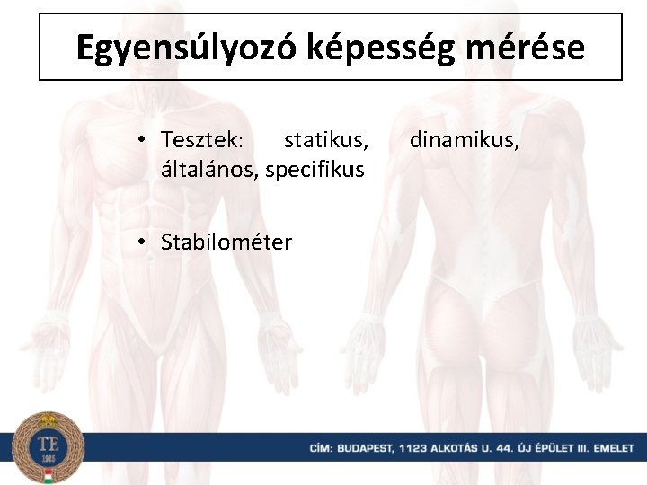 Egyensúlyozó képesség mérése • Tesztek: statikus, általános, specifikus • Stabilométer dinamikus, 