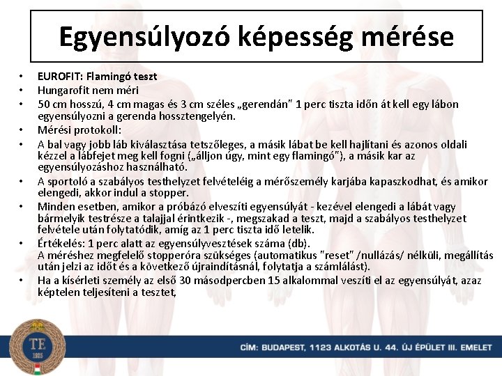 Egyensúlyozó képesség mérése • • • EUROFIT: Flamingó teszt Hungarofit nem méri 50 cm