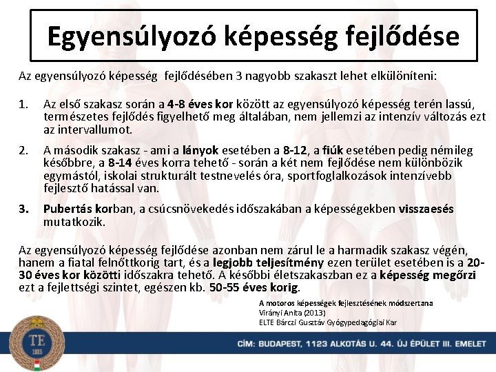 Egyensúlyozó képesség fejlődése Az egyensúlyozó képesség fejlődésében 3 nagyobb szakaszt lehet elkülöníteni: 1. Az