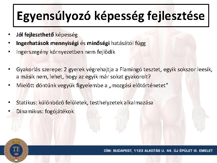 Egyensúlyozó képesség fejlesztése • Jól fejleszthető képesség • Ingerhatások mennyiségi és minőségi hatásától függ