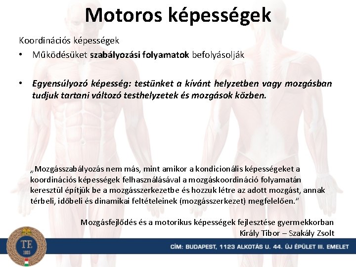 Motoros képességek Koordinációs képességek • Működésüket szabályozási folyamatok befolyásolják • Egyensúlyozó képesség: testünket a