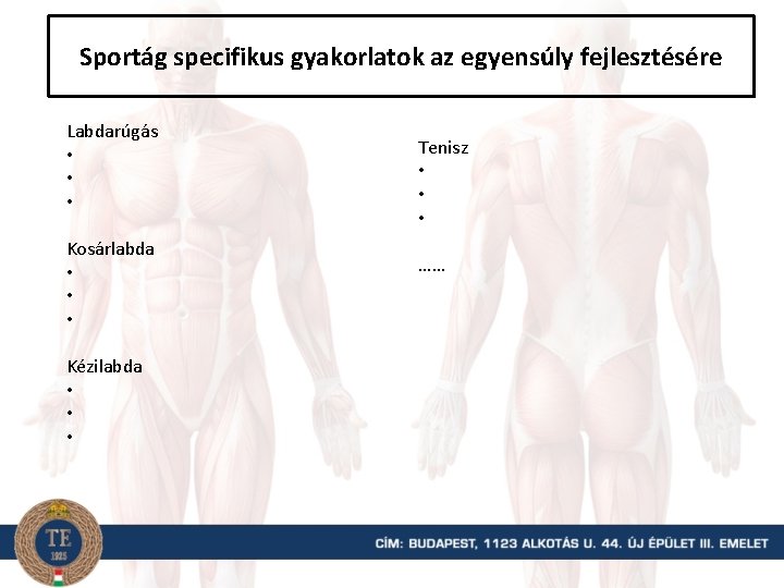 Sportág specifikus gyakorlatok az egyensúly fejlesztésére Labdarúgás • • • Kosárlabda • • •