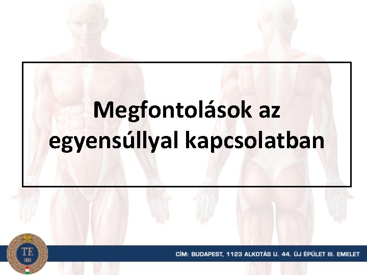 Megfontolások az egyensúllyal kapcsolatban 