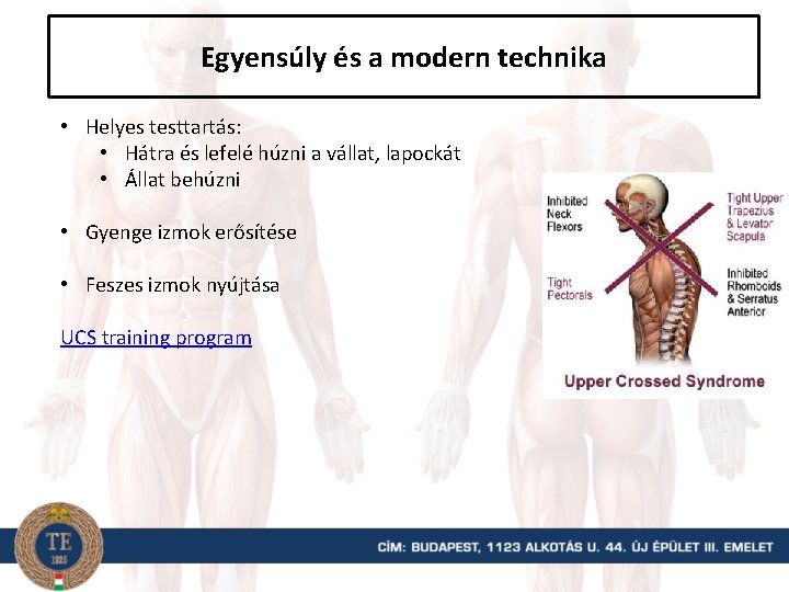 Egyensúly és a modern technika • Helyes testtartás: • Hátra és lefelé húzni a