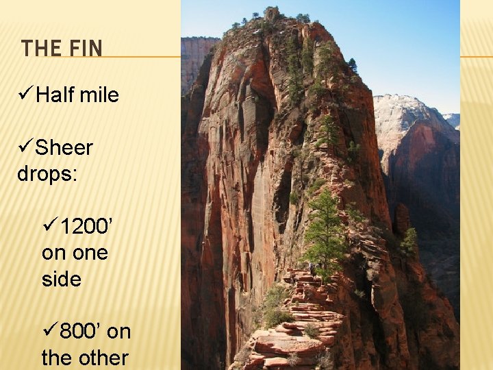 THE FIN üHalf mile üSheer drops: ü 1200’ on one side ü 800’ on