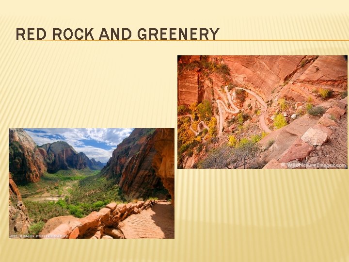 RED ROCK AND GREENERY 