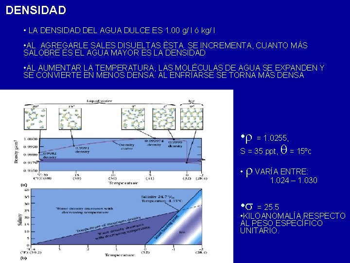 DENSIDAD • LA DENSIDAD DEL AGUA DULCE ES 1. 00 g/ l ó kg/