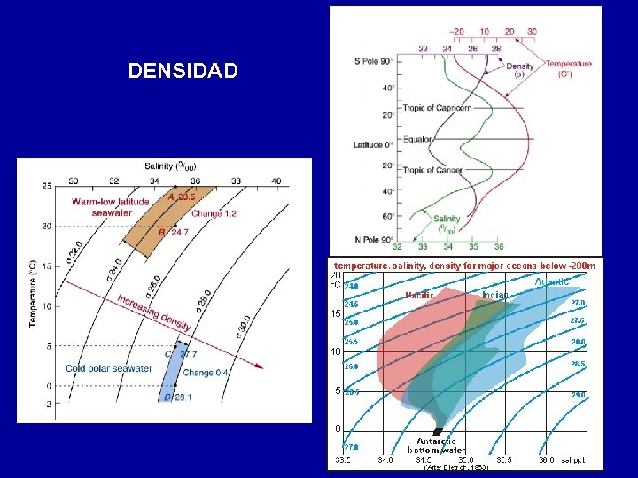 DENSIDAD 