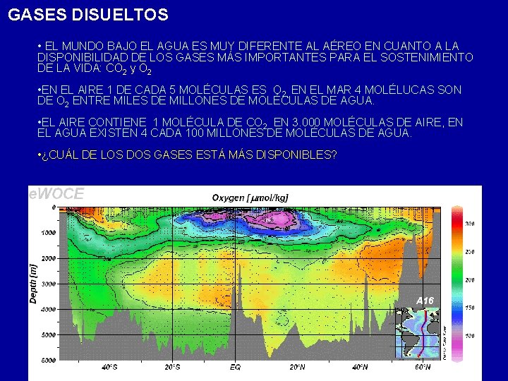 GASES DISUELTOS • EL MUNDO BAJO EL AGUA ES MUY DIFERENTE AL AÉREO EN