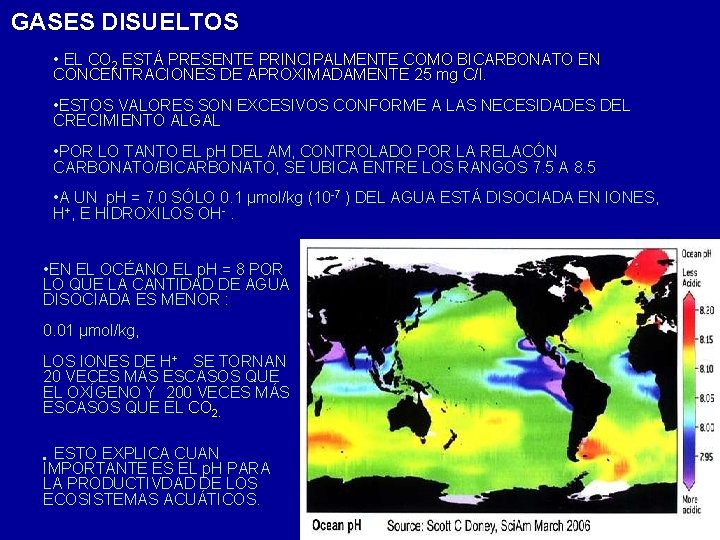 GASES DISUELTOS • EL CO 2 ESTÁ PRESENTE PRINCIPALMENTE COMO BICARBONATO EN CONCENTRACIONES DE