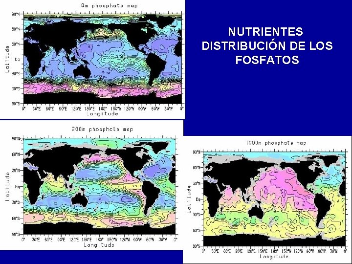 NUTRIENTES DISTRIBUCIÓN DE LOS FOSFATOS 