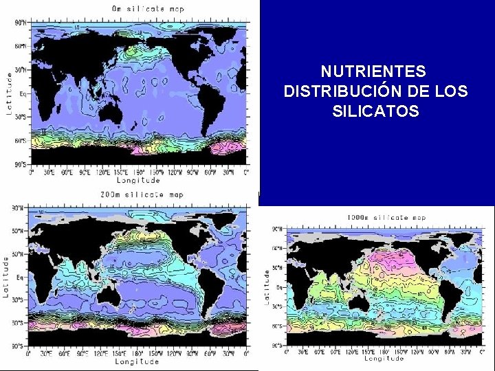 NUTRIENTES DISTRIBUCIÓN DE LOS SILICATOS 