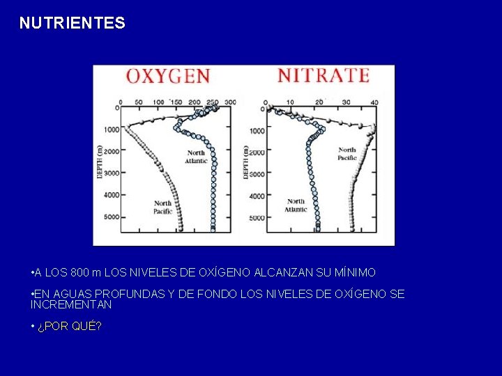 NUTRIENTES • A LOS 800 m LOS NIVELES DE OXÍGENO ALCANZAN SU MÍNIMO •