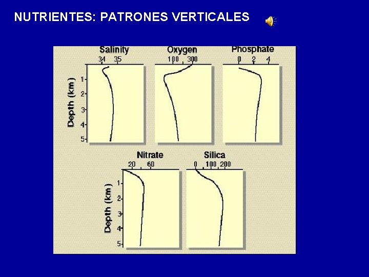 NUTRIENTES: PATRONES VERTICALES 