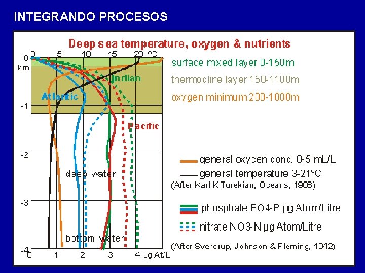 INTEGRANDO PROCESOS 