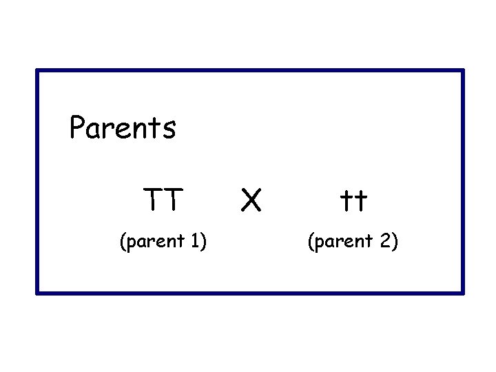 Parents TT (parent 1) X tt (parent 2) 
