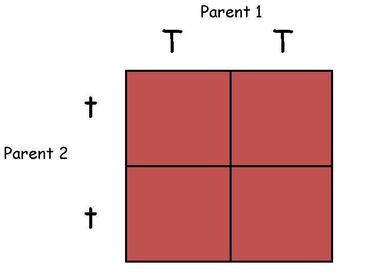 T t Parent 2 t Parent 1 T 