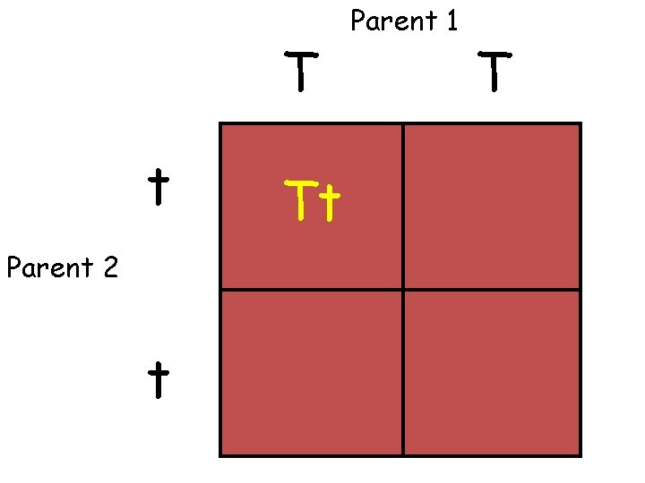 T t Parent 2 t Tt Parent 1 T 