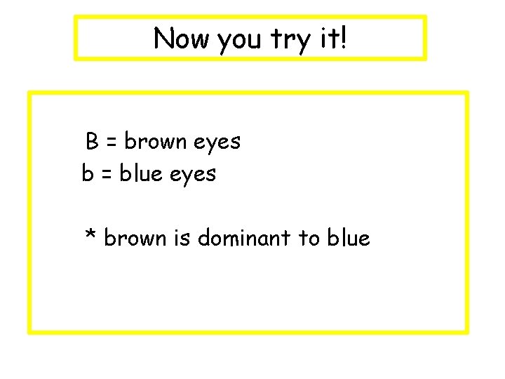 Now you try it! B = brown eyes b = blue eyes * brown