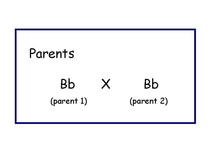 Parents Bb (parent 1) X Bb (parent 2) 
