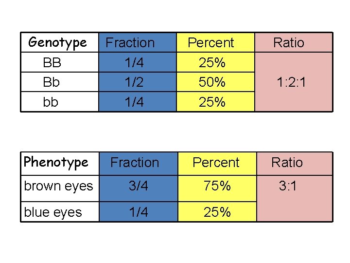 Genotype BB Bb bb Fraction 1/4 1/2 1/4 Percent 25% 50% 25% Ratio 1: