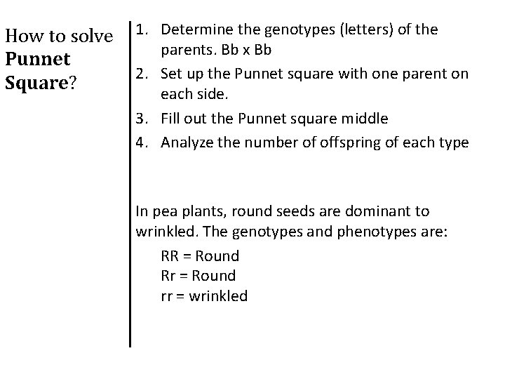 How to solve Punnet Square? 1. Determine the genotypes (letters) of the parents. Bb