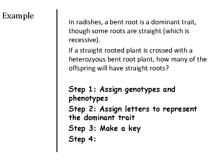 Example In radishes, a bent root is a dominant trait, though some roots are