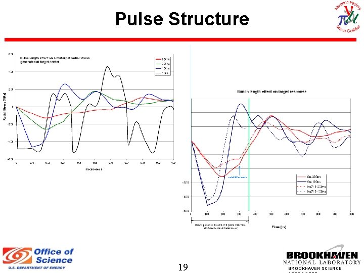 Pulse Structure 19 BROOKHAVEN SCIENCE 