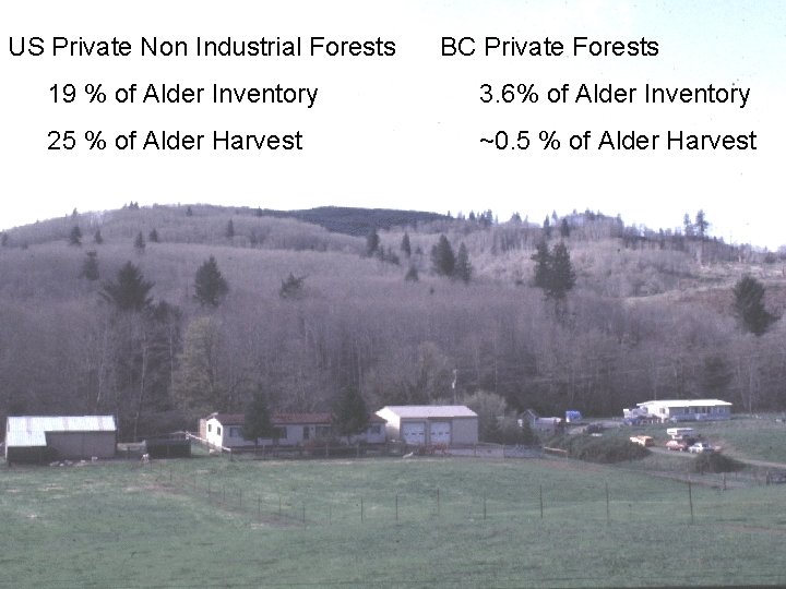 US Private Non Industrial Forests BC Private Forests 19 % of Alder Inventory 3.
