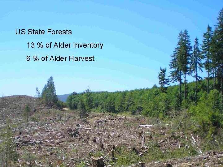 US State Forests 13 % of Alder Inventory 6 % of Alder Harvest 