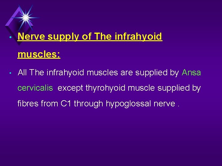  • Nerve supply of The infrahyoid muscles: • All The infrahyoid muscles are