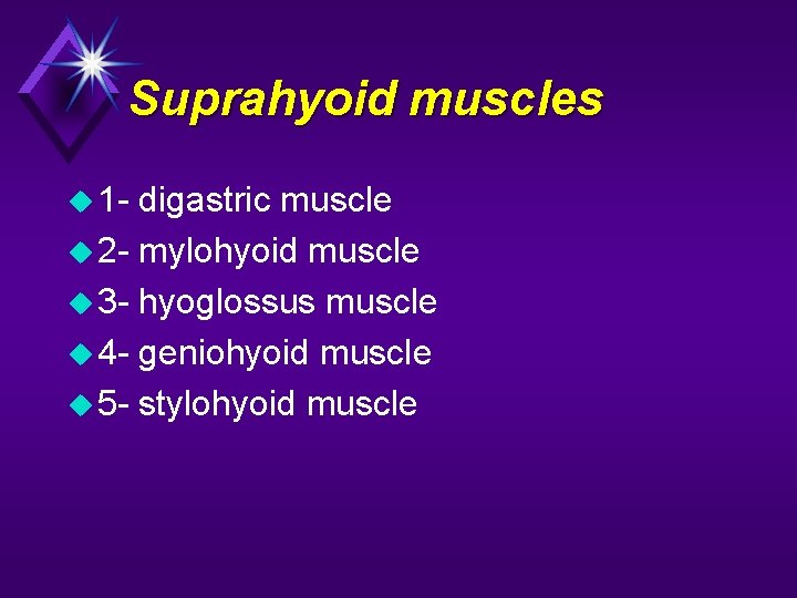 Suprahyoid muscles 1 - digastric muscle 2 - mylohyoid muscle 3 - hyoglossus muscle