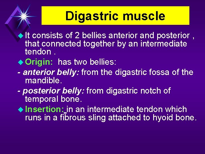 Digastric muscle It consists of 2 bellies anterior and posterior , that connected together