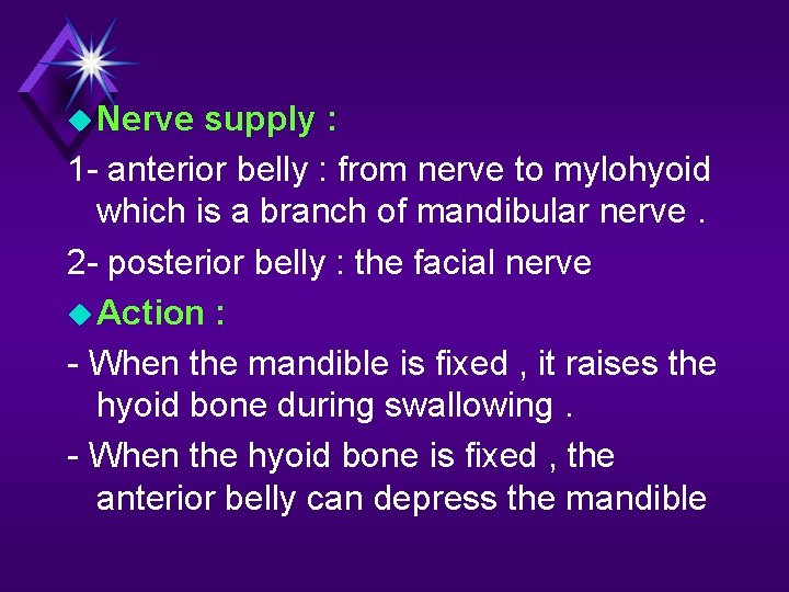  Nerve supply : 1 - anterior belly : from nerve to mylohyoid which