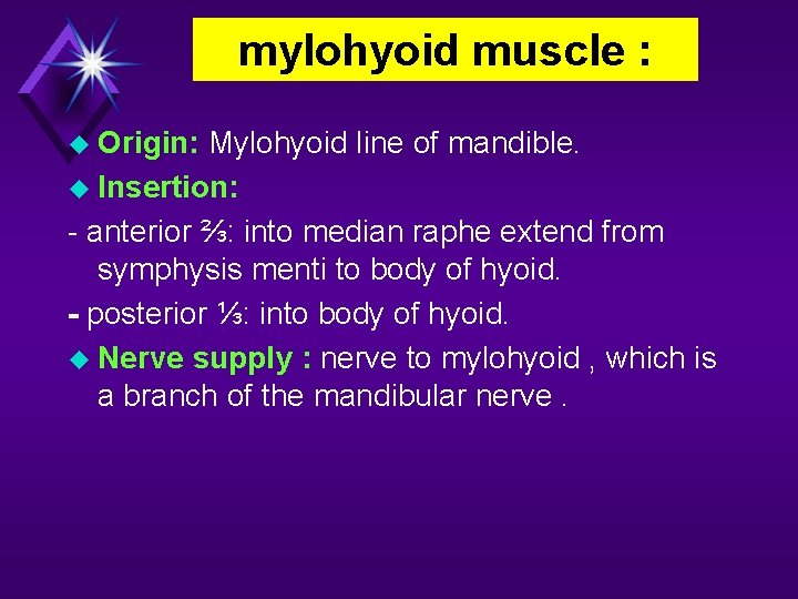 mylohyoid muscle : Origin: Mylohyoid line of mandible. Insertion: - anterior ⅔: into median