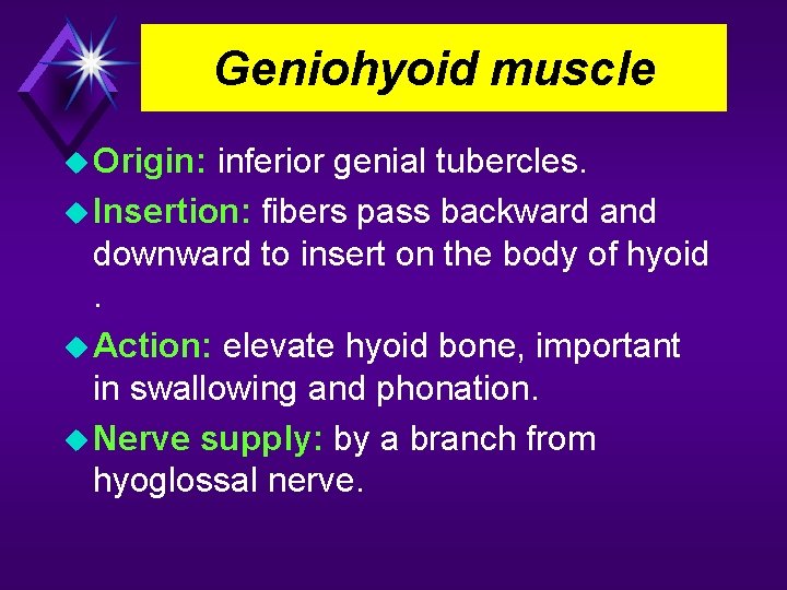 Geniohyoid muscle Origin: inferior genial tubercles. Insertion: fibers pass backward and downward to insert