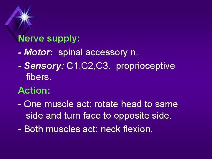 Nerve supply: - Motor: spinal accessory n. - Sensory: C 1, C 2, C
