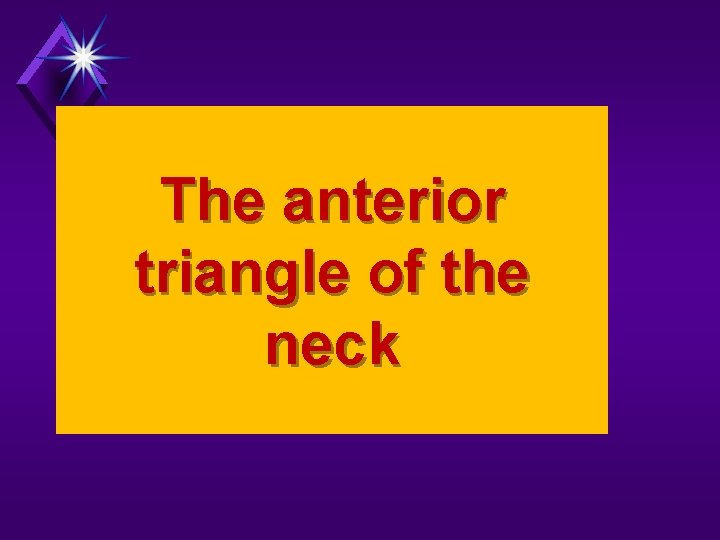 The anterior triangle of the neck 
