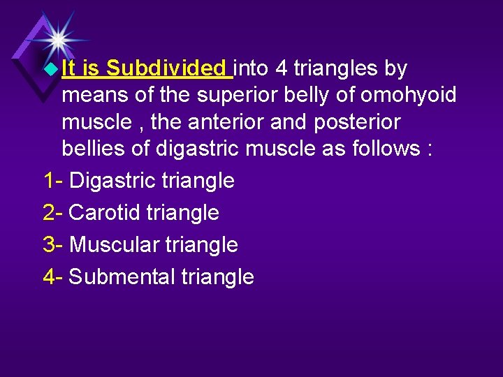  It is Subdivided into 4 triangles by means of the superior belly of